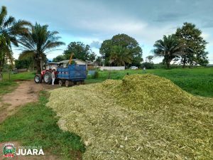 Colheita de silagem realizada pela Secretaria de Agronegócio